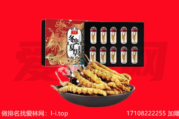 北流市回收虫草.jpg
